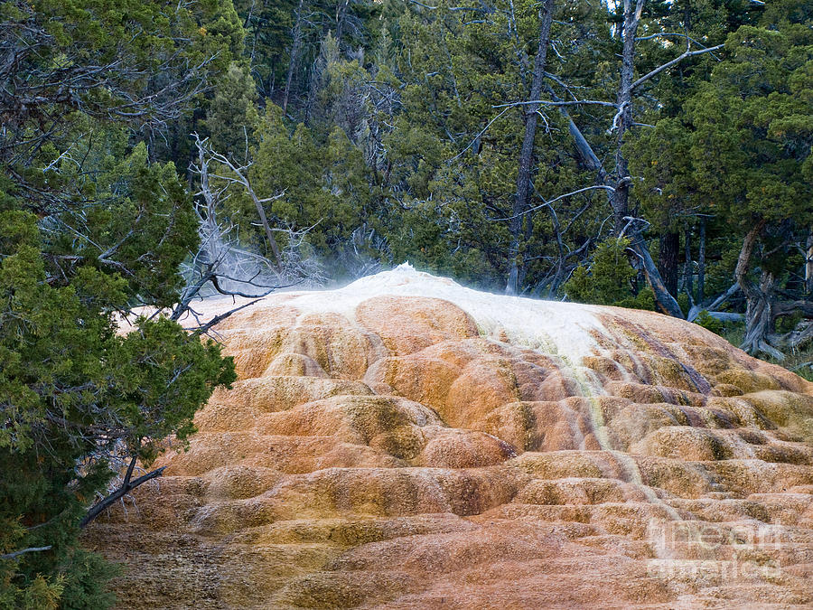 Yellowstone #37 Photograph by Tara Lynn