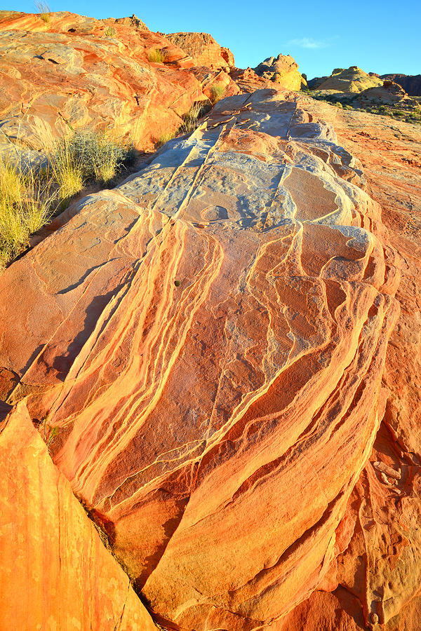 Valley of Fire #375 Photograph by Ray Mathis