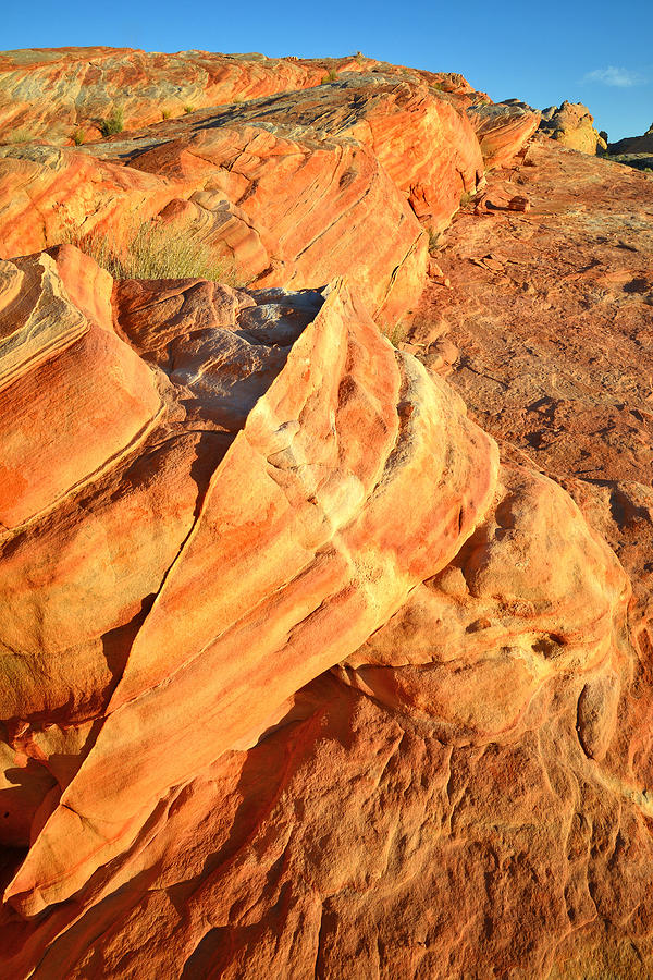 Valley of Fire #377 Photograph by Ray Mathis