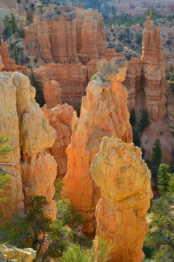 Fairyland Canyon #40 Photograph by Ray Mathis