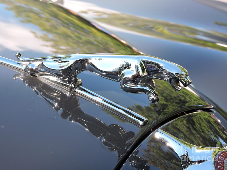 Car Photograph - 3.8 Litre Jaguar #38 by Neil Zimmerman