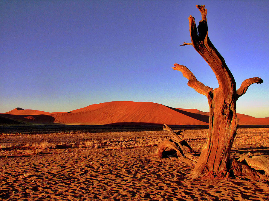 Namibia #38 Photograph by Paul James Bannerman