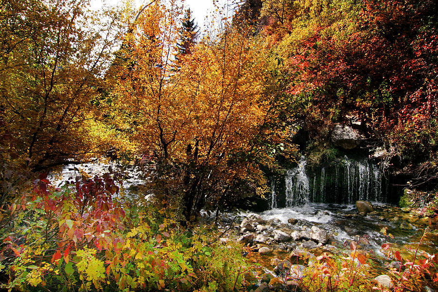 Rocky Mountain Fall Photograph by Mark Smith