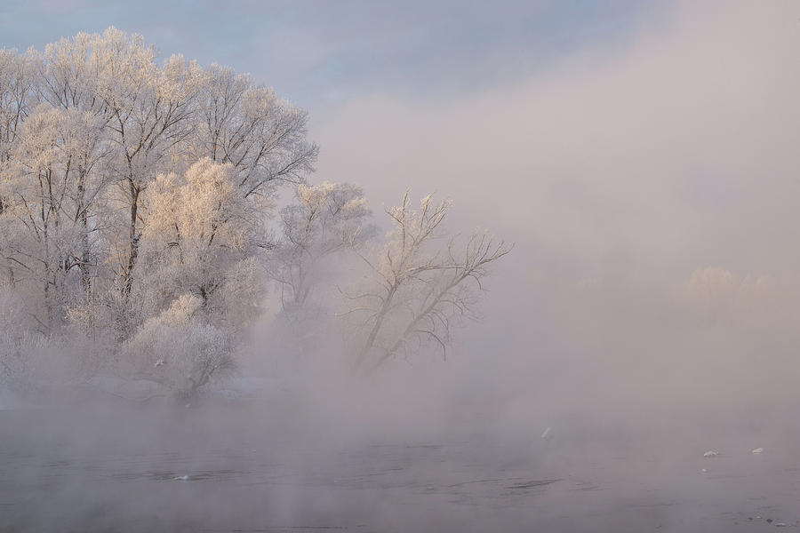 Snowy frozen landscape of sunrise on lakeside with trees Photograph by ...