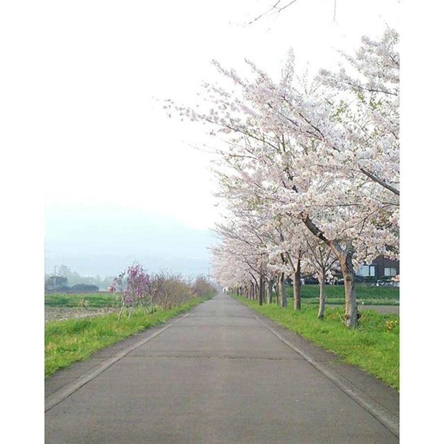 Nature Photograph - Instagram Photo #381463728276 by Yuu Shiratori