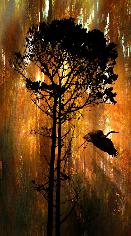 3829 Photograph by Peter Holme III