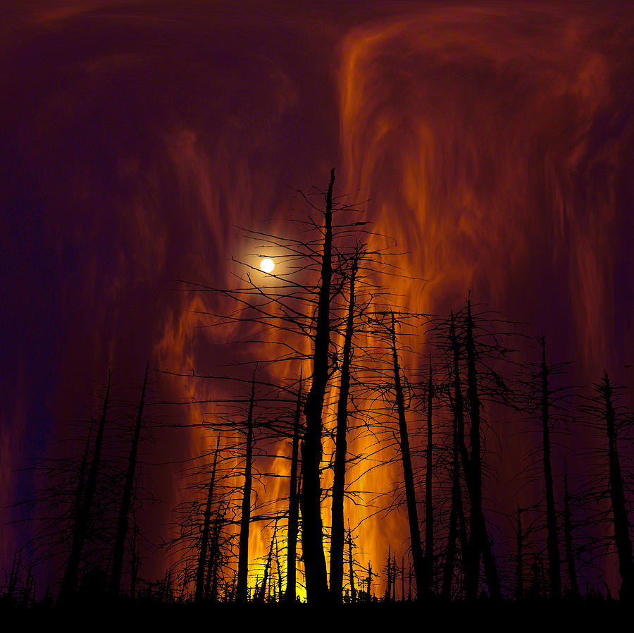 3871 Photograph by Peter Holme III