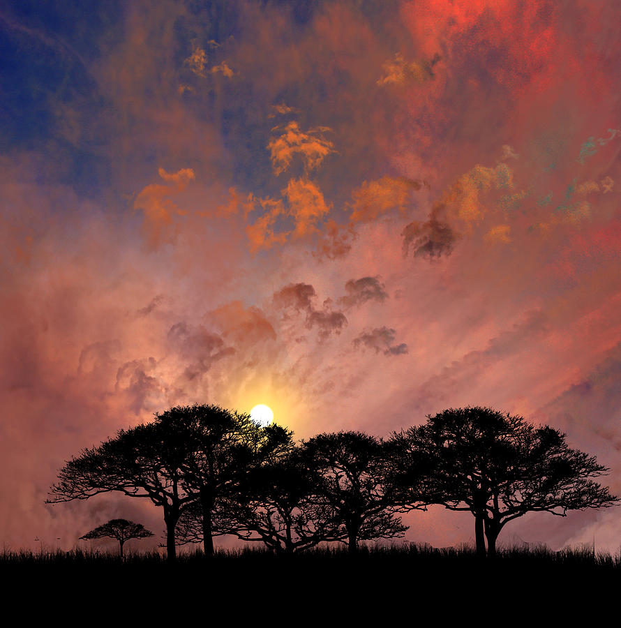 3873 Photograph by Peter Holme III