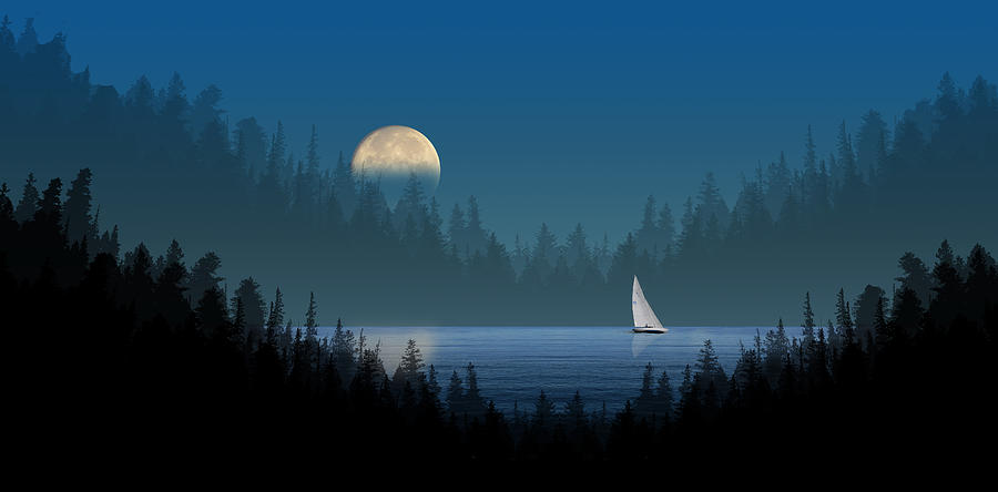 3879 Photograph by Peter Holme III