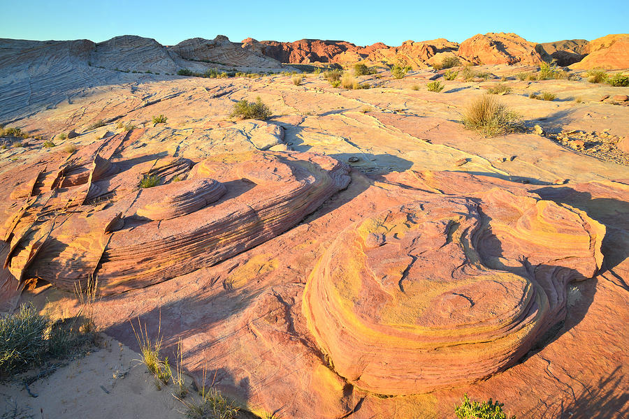 Valley of Fire #440 Photograph by Ray Mathis