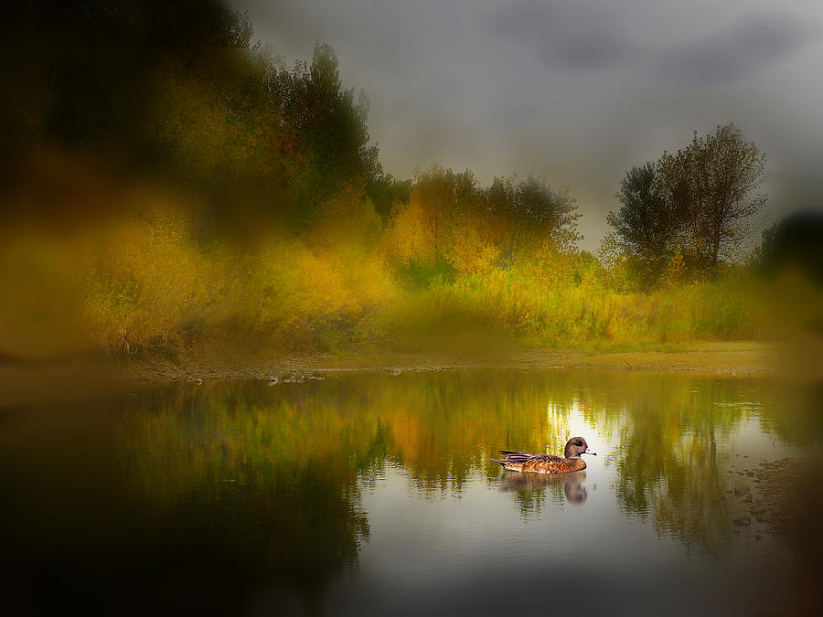3895 Photograph by Peter Holme III