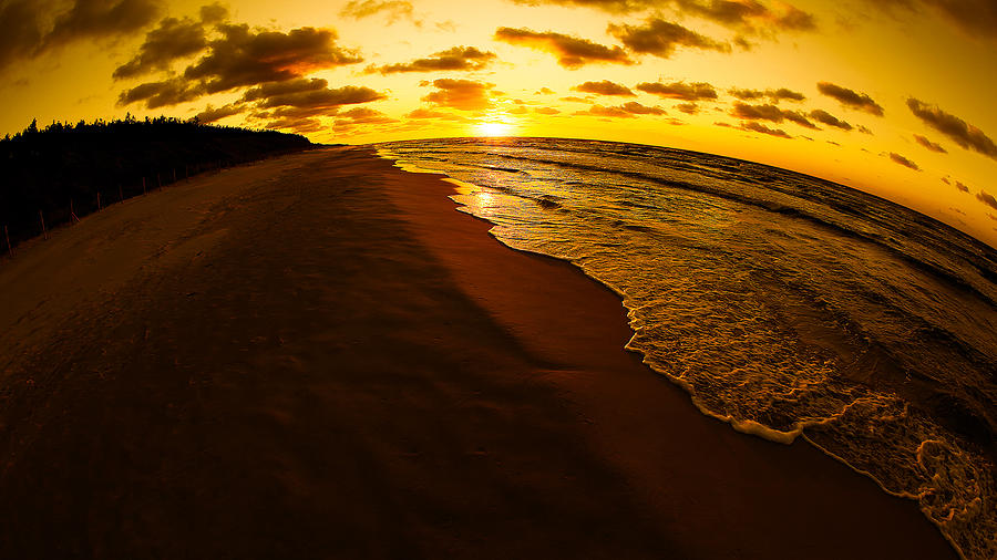 Sunset Digital Art - Beach #39 by Super Lovely