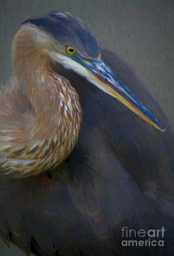Heron Photograph - Great Blue Heron #39 by Paulette Thomas