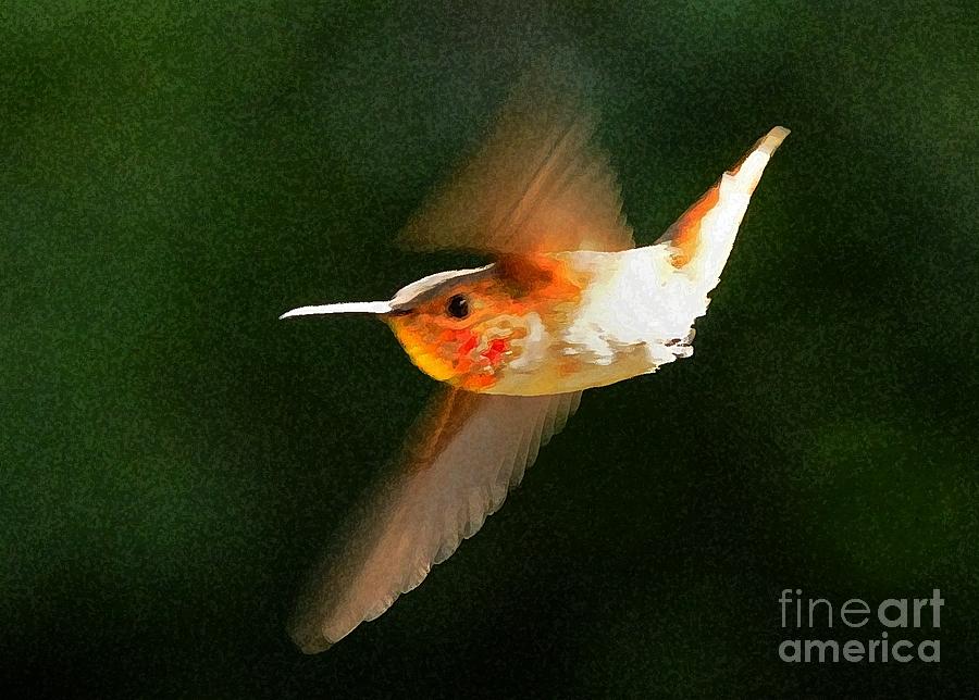 Hummingbird #39 Photograph by Marc Bittan