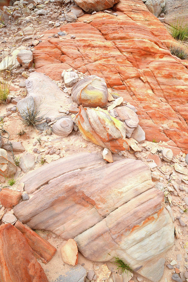Multicolored Sandstone in Valley of Fire #39 Photograph by Ray Mathis