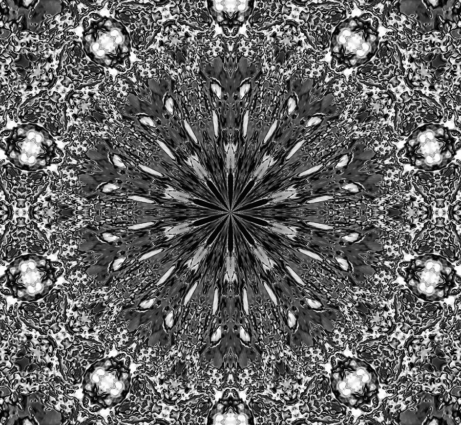 Snowflake #39 Digital Art by Belinda Cox