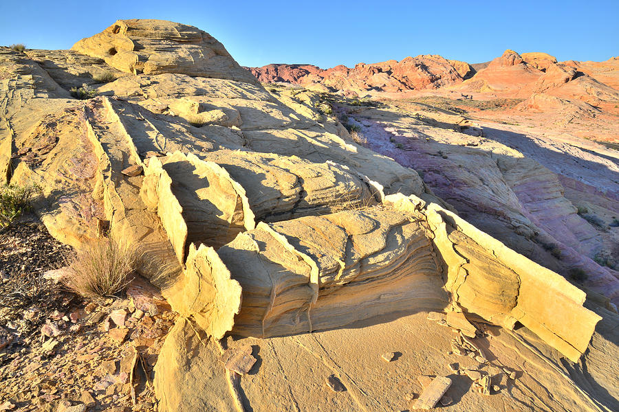 Valley of Fire #417 Photograph by Ray Mathis