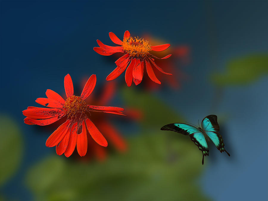 3963 Photograph by Peter Holme III