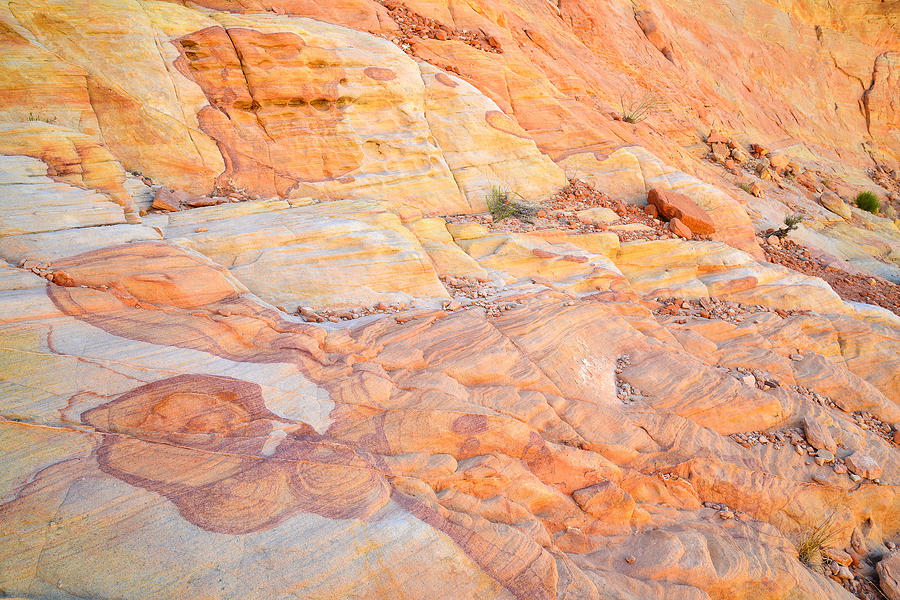 Valley of Fire #402 Photograph by Ray Mathis