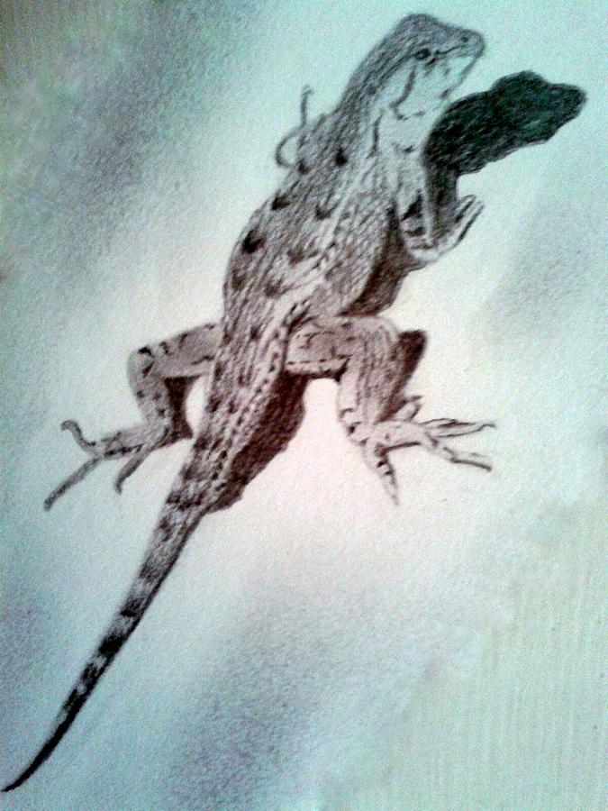 3D art- Lizard Drawing by Debraj Garai - Pixels
