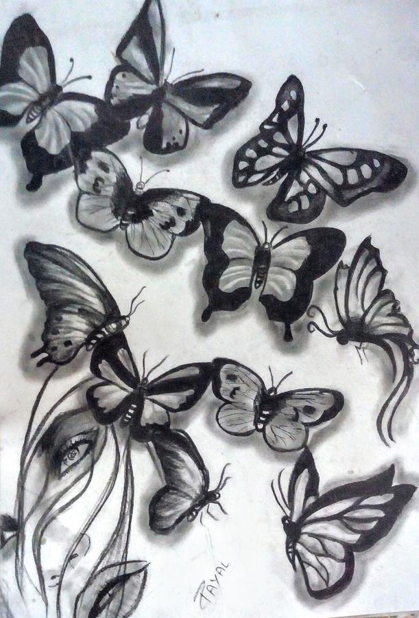 Realistic Butterfly Drawing · Creative Fabrica