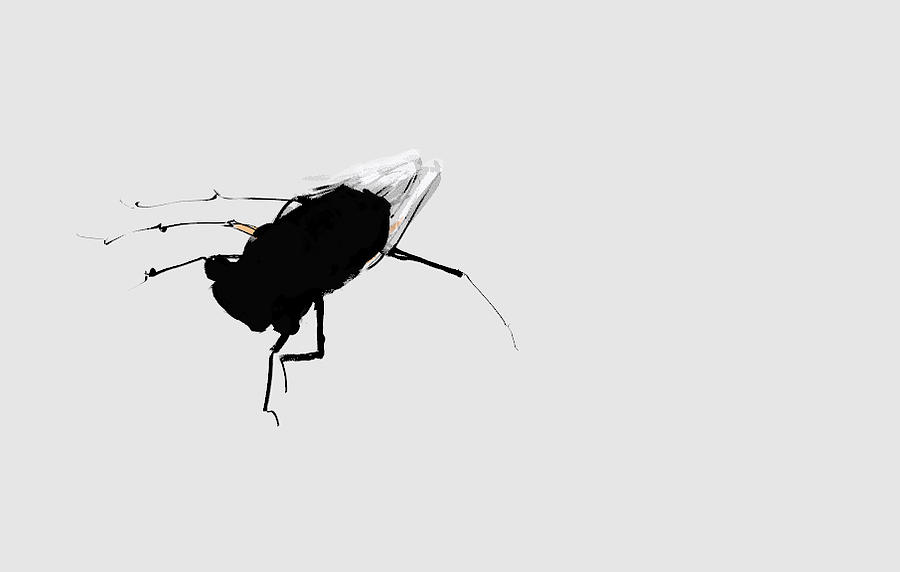 3D cicada Digital Art by Debbi Saccomanno Chan