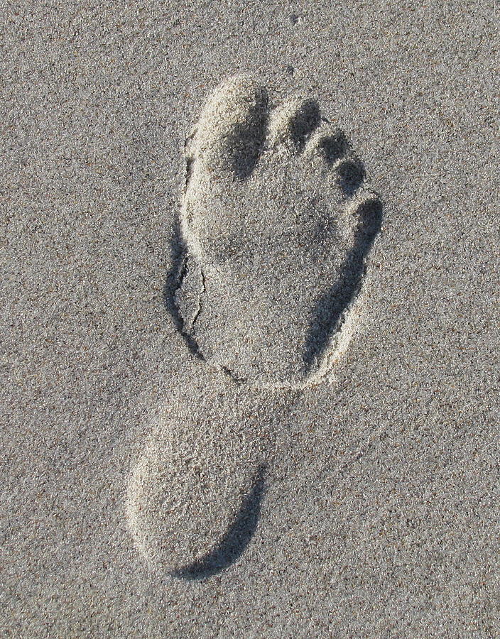 3D Footprint in the Sand Photograph by Ellen Meakin