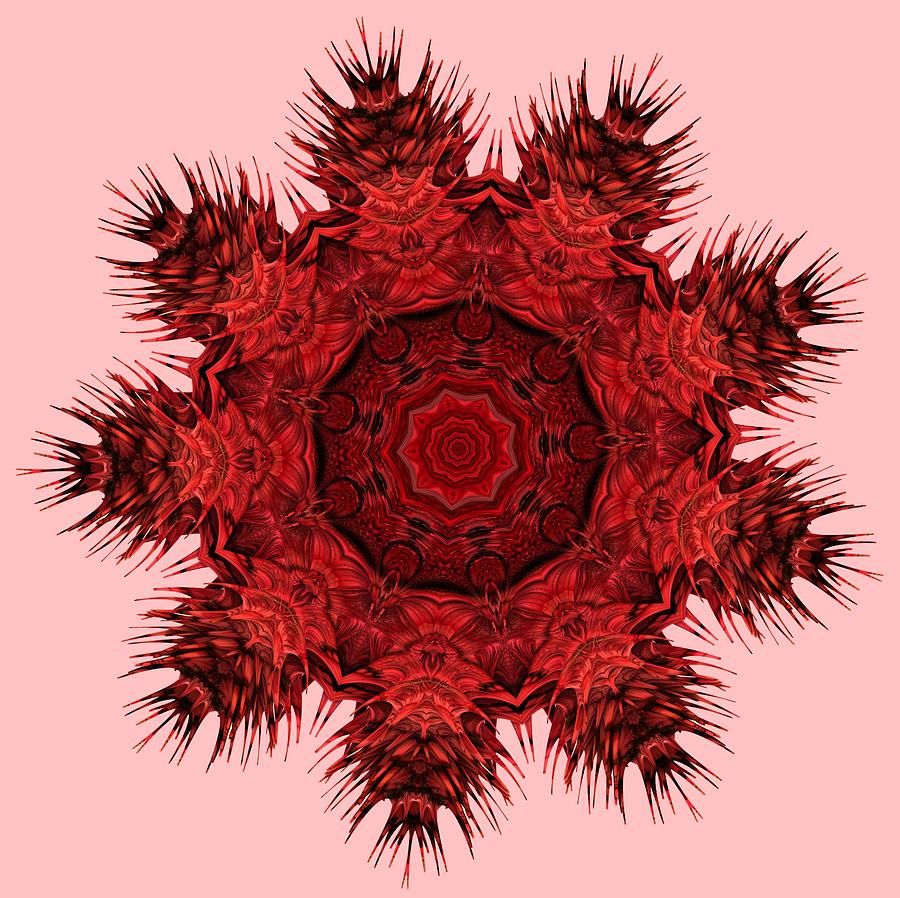 3d Mandala Iii Digital Art By Veselina Stoyanova Pixels