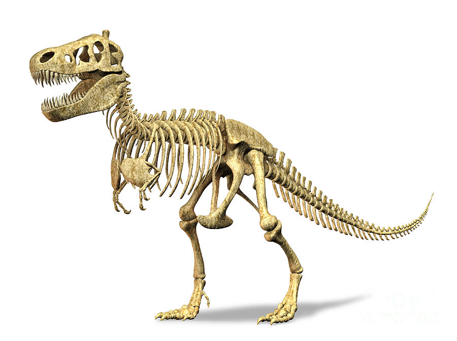 3d Rendering Of A Tyrannosaurus Rex Digital Art by Leonello Calvetti
