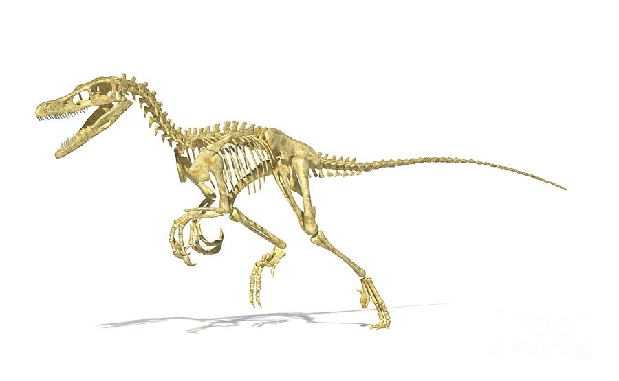 3d Rendering Of A Velociraptor Dinosaur Digital Art by Leonello Calvetti