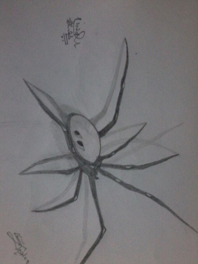 3d Spider Drawing  JustPost Virtually entertaining