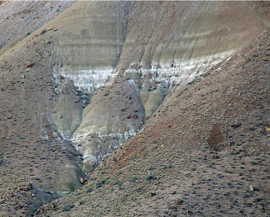3DA5734 Face Pattern John Day Fossil Beds Nat Mon Photograph by Ed Cooper Photography