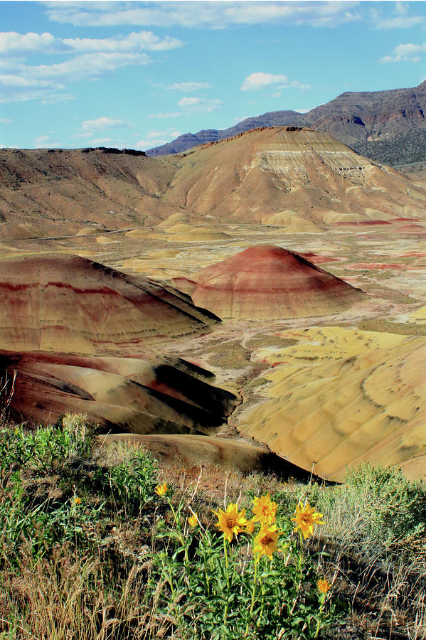 3DA5752 Painted Hills John Day Fossil Beds Nat Mon V Photograph by Ed Cooper Photography