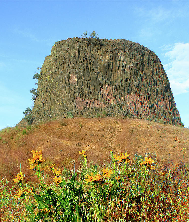 3DA5788 Hat Rock with Arrowleaf Balsamroot Photograph by Ed Cooper Photography