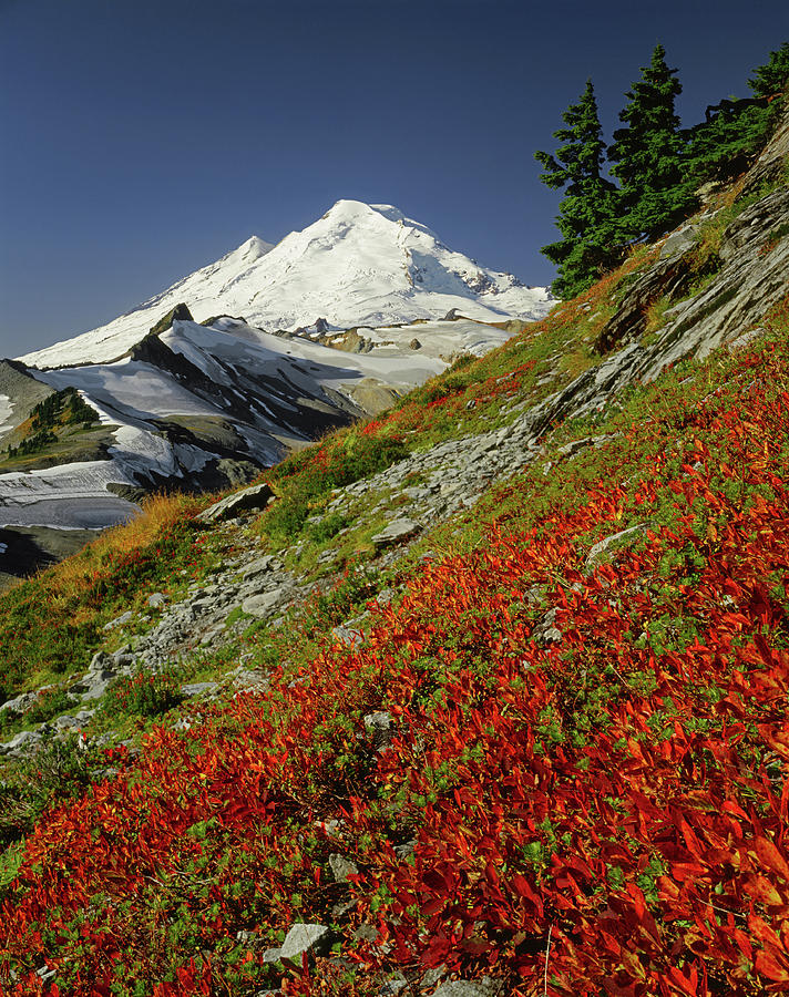 3M4204 Mt. Baker from Northeast Photograph by Ed Cooper Photography
