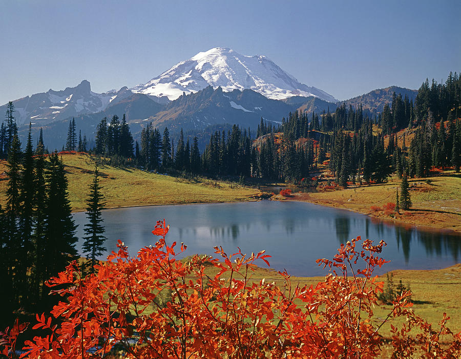 3M4824 Tipsoo Lake and Mt. Rainier H Photograph by Ed Cooper Photography