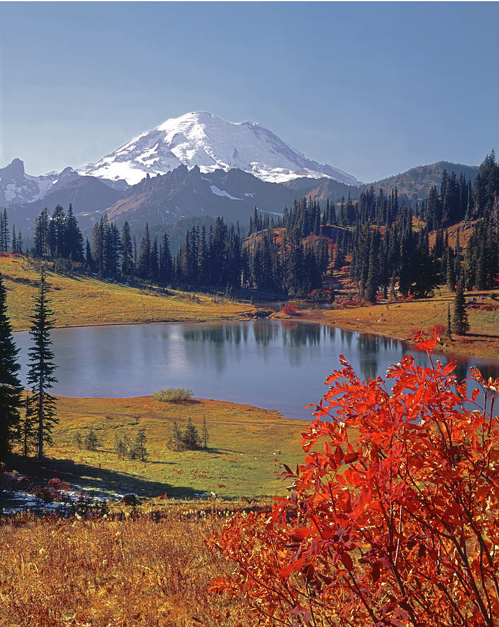 3M4825 Tipsoo Lake and Mt. Rainier Photograph by Ed Cooper Photography
