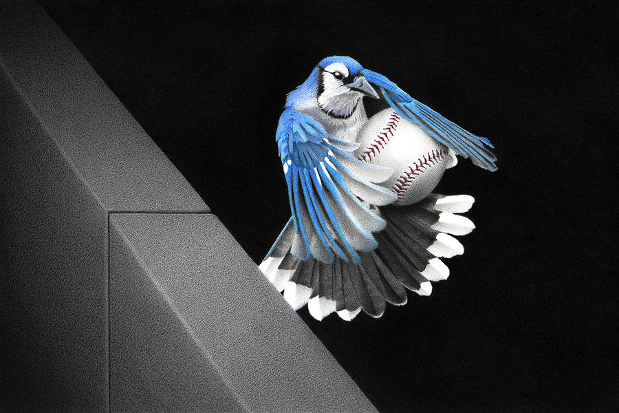 8th Inning - Out at the Fence by Stirring Images 8th Inning - Out at the Fence by Stirring Images