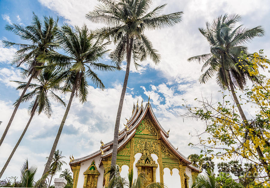  Haw Pha Bang temple in Luang Prabang in Laos #4 Photograph by Didier Marti