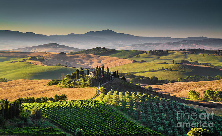 A Morning In Tuscany Photograph