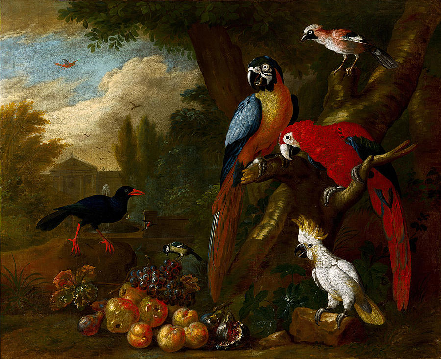A Still Life With Fruit Parrots And A Cockatoo #4 Painting by Jakob Bogdani