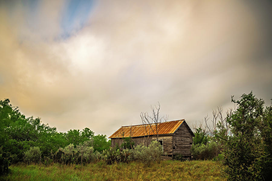 Abandoned Log Cabin House Deep Woods In Texas #4 Photograph by Alex Grichenko