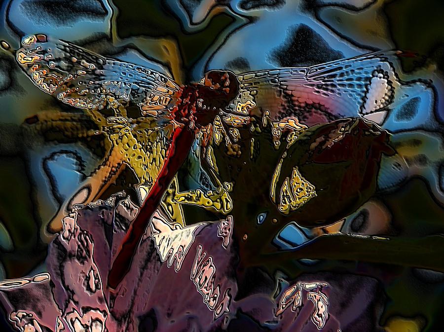 Abstract Digital Art - Abstract Dragonfly #4 by Belinda Cox