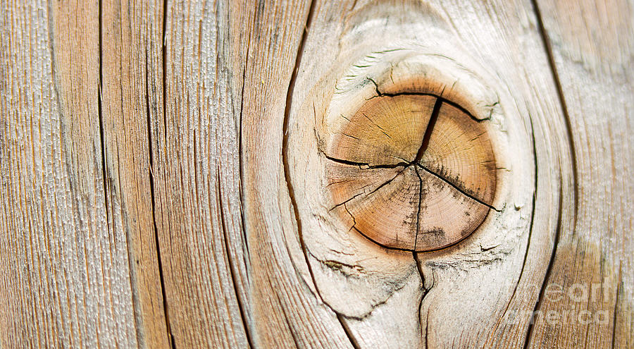 Abstract Wood Panel Knot #4 Photograph by ELITE IMAGE photography By Chad McDermott