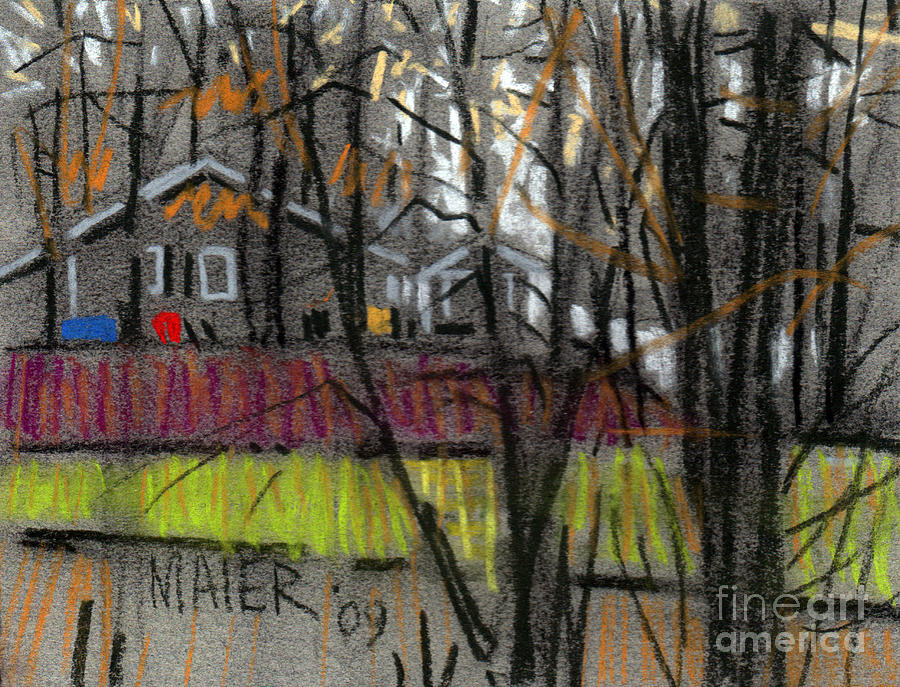 Across the Creek #3 Drawing by Donald Maier