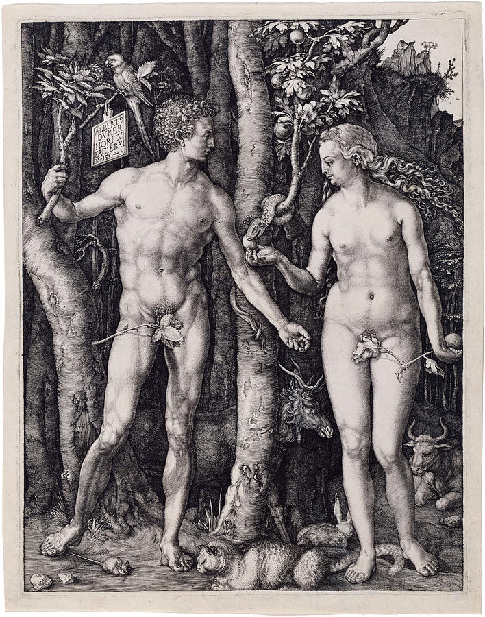 Adam and Eve #4 Drawing by Albrecht Durer