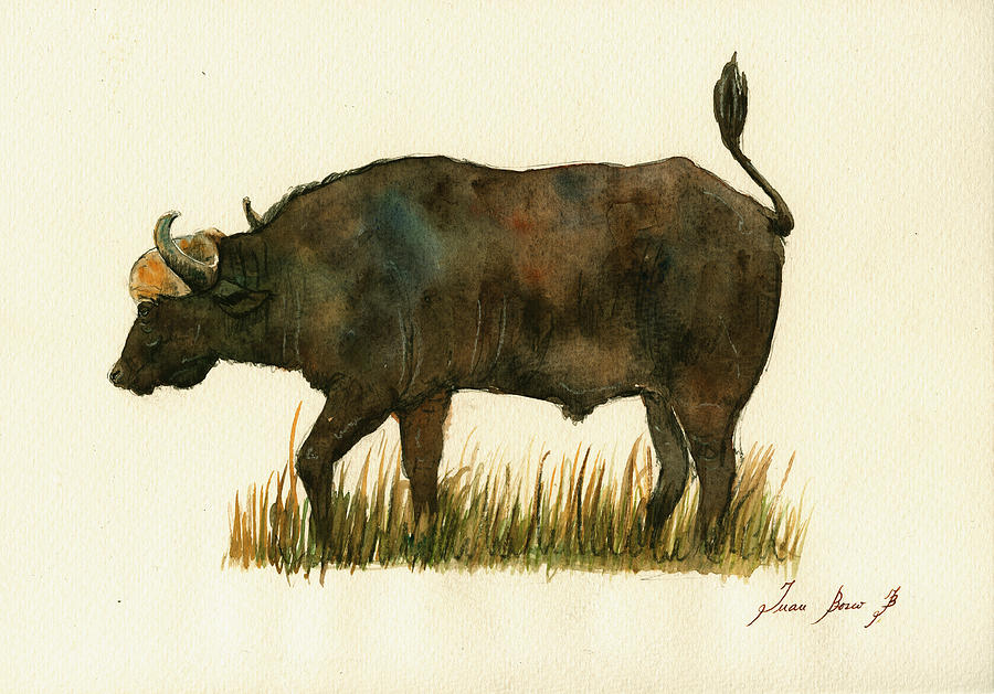 African Buffalo Painting - African buffalo watercolor painting #4 by Juan  Bosco