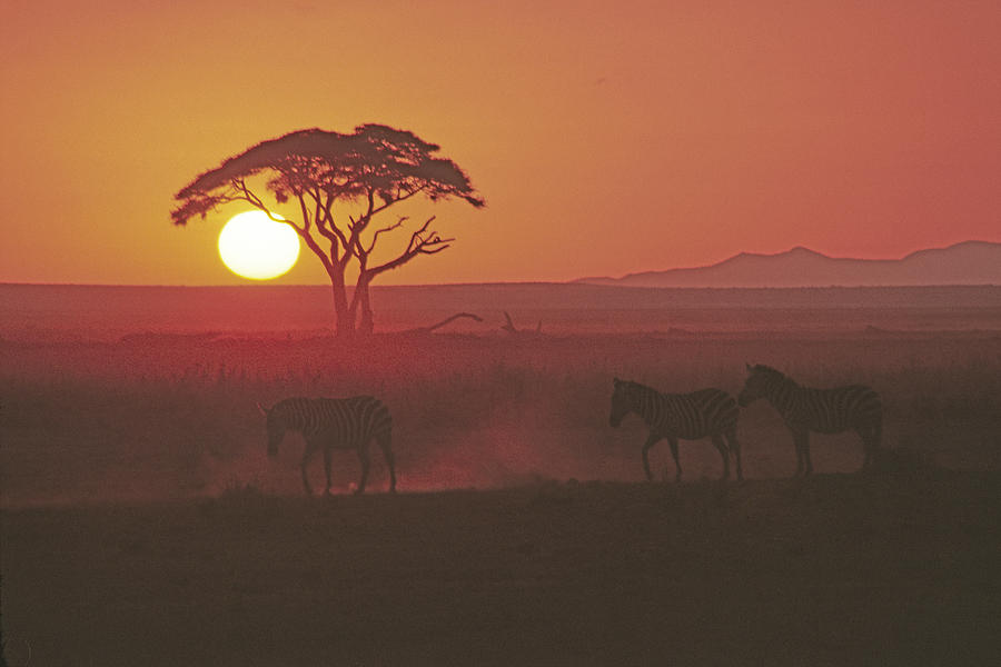 African Sunrise #4 Photograph by Michele Burgess