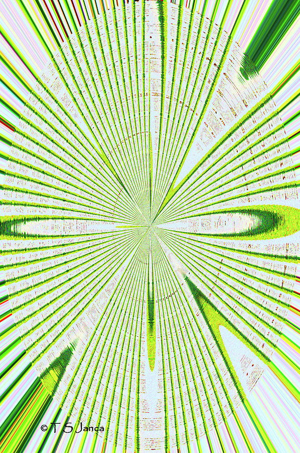 Agave Abstract #4 Digital Art by Tom Janca