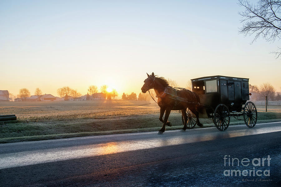 Amish Buggy at Dawn #4 Photograph by David Arment